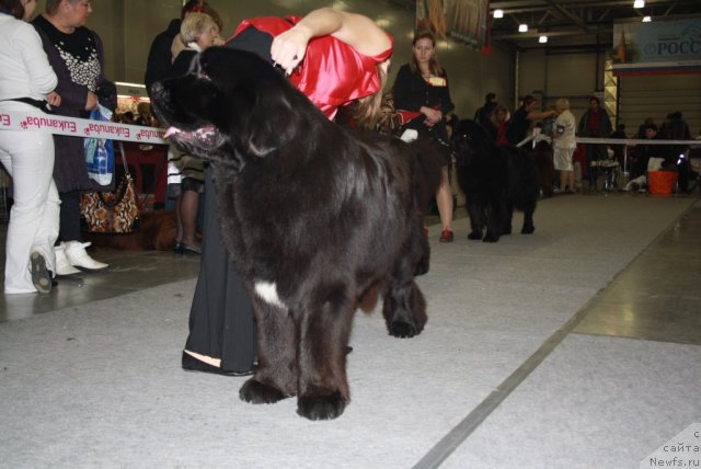 Фотография № 110223