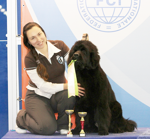 Фотография № 110241