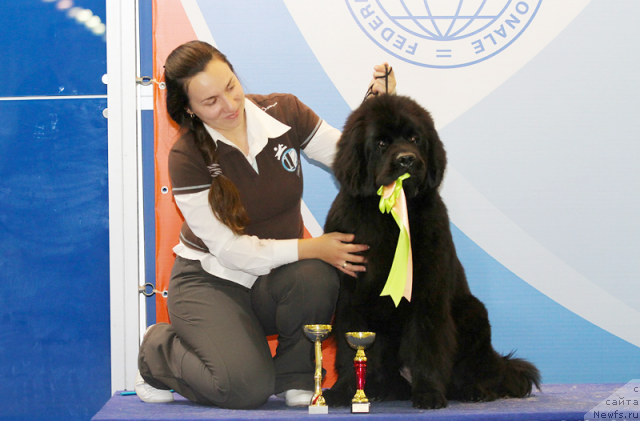 Фотография № 110242