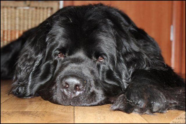 Фотография № 110243