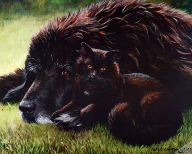 Фотография № 110253