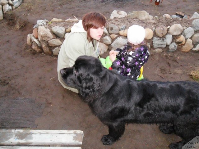 Фотография № 110254