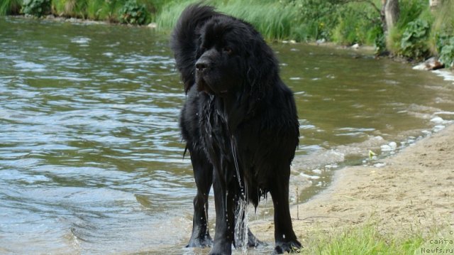 Фотография № 110255