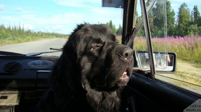 Фотография № 110256