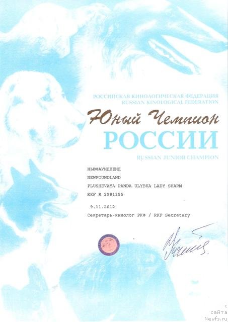 Фото: ньюфаундленд Плюшевая Панда Улыбка Леди Шарм (Plushevaya Panda Ulybka Ledi Scharm)