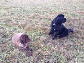 Фотография № 110433