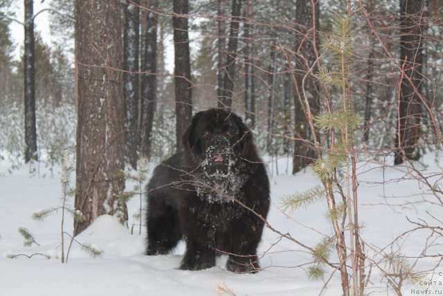 Фотография № 110448