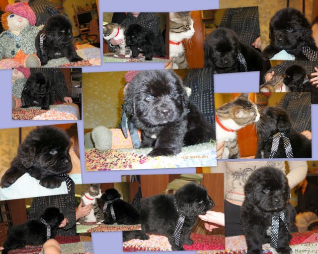 Фото: Наталья Смирнова