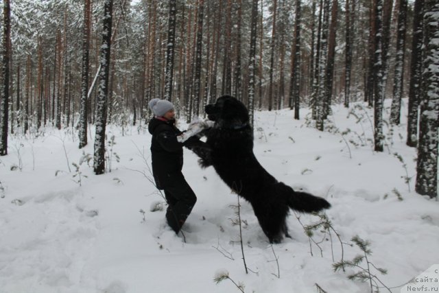 Фотография № 110593