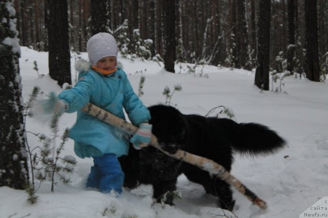 Фотография № 110594