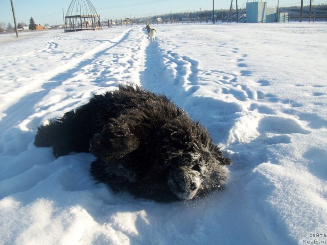 Фотография № 110598