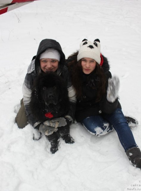 Фотография № 110614