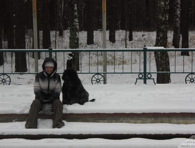 Фотография № 110618