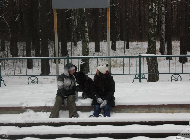 Фотография № 110619