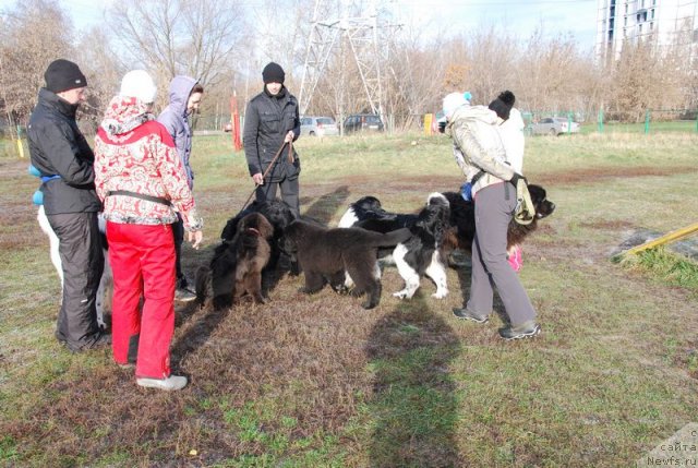 Фотография № 110623