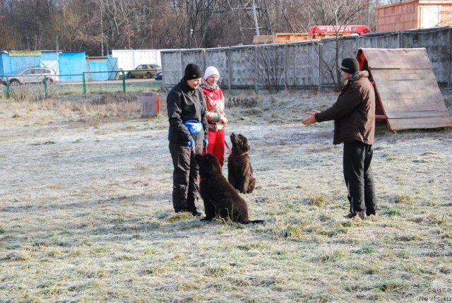 Фотография № 110624