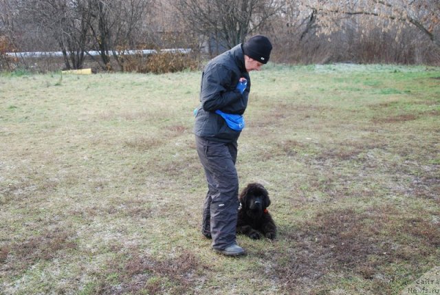 Фотография № 110626