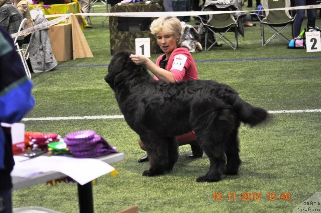 Фотография № 110633