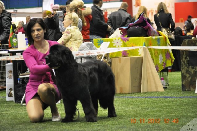 Фотография № 110634