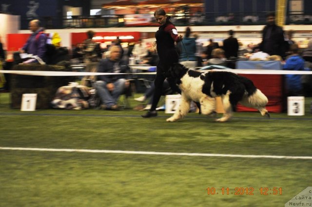 Фотография № 110636