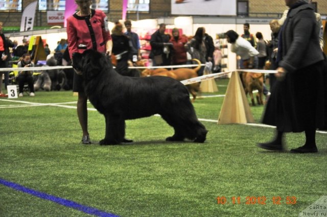 Фотография № 110637