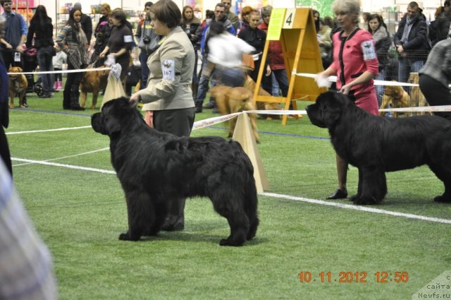 Фотография № 110638