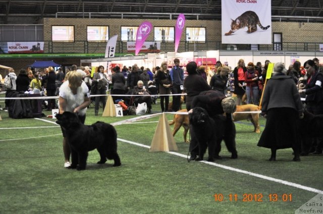 Фотография № 110640