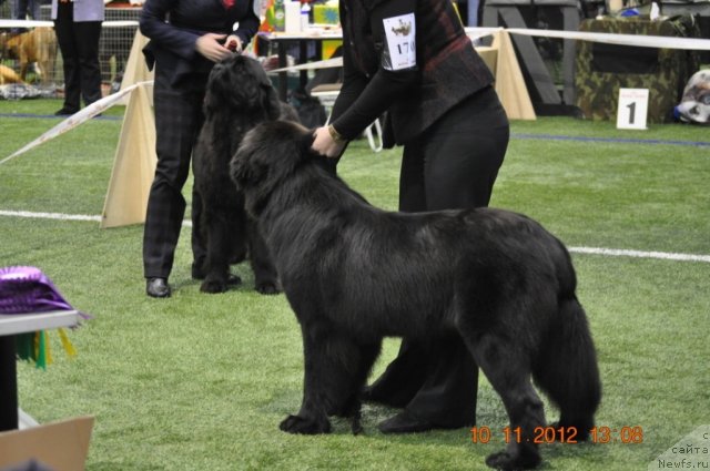 Фотография № 110641