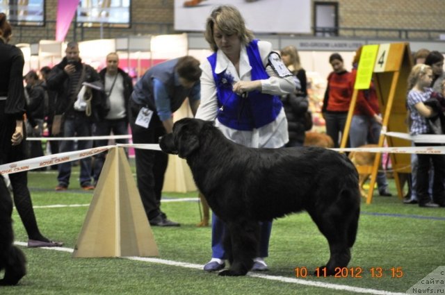 Фотография № 110644