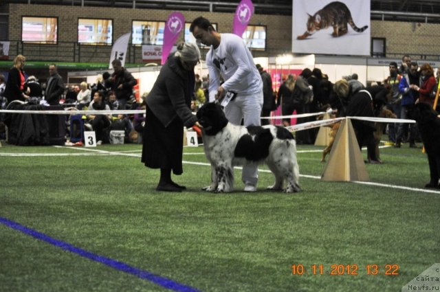 Фотография № 110646