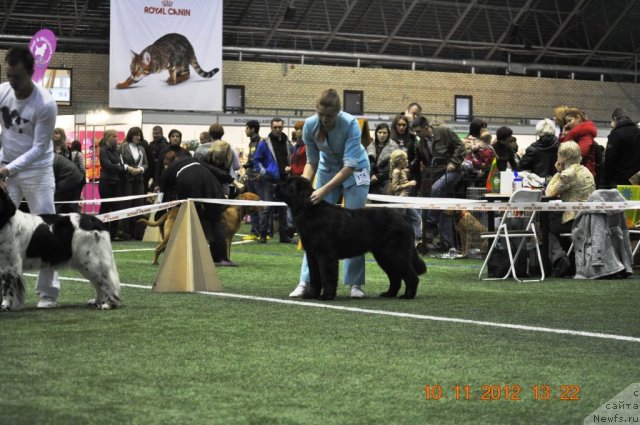 Фотография № 110647