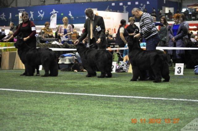 Фотография № 110649