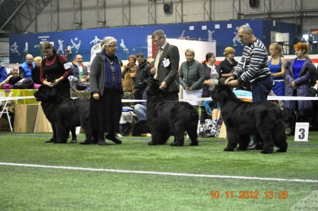 Фотография № 110650