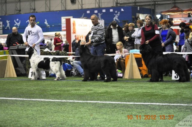 Фотография № 110652