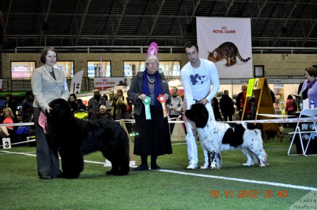 Фотография № 110653