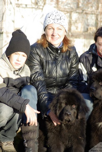 Фото: ньюфаундленд Бегущая по Волнам Шаду Ладу