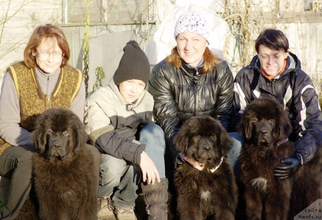 Фото: Галина Акулина, ньюфаундленд Бегущая по Волнам Шаолинь (Beguschaya po Volnam Shaolin), ньюфаундленд Бегущая по Волнам Шаду Ладу, ньюфаундленд Бегущая по Волнам Шаман (Beguschaya po Volnam Shaman)