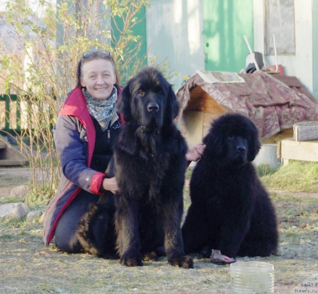 Фото: Ольга Королева, ньюфаундленд Бегущая по Волнам Харизма (Beguschaya po Volnam Harizma), ньюфаундленд Бегущая по Волнам Шаолинь (Beguschaya po Volnam Shaolin)