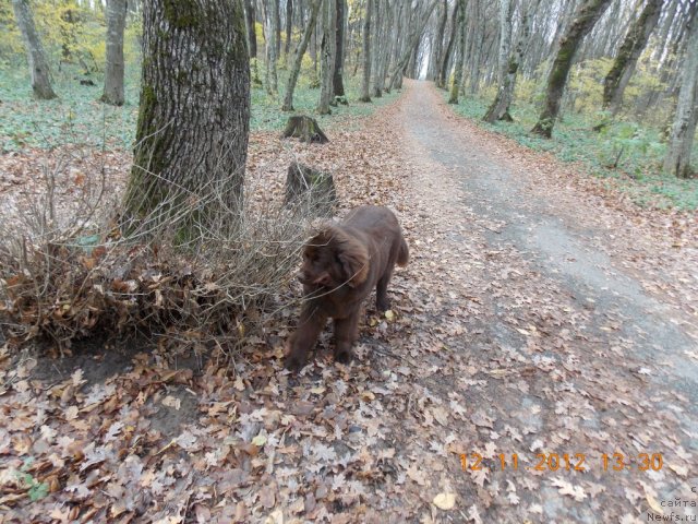 Фотография № 110718