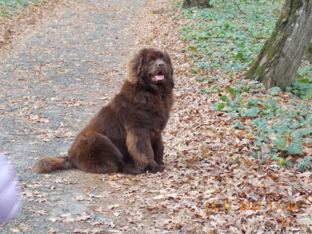 Фотография № 110719