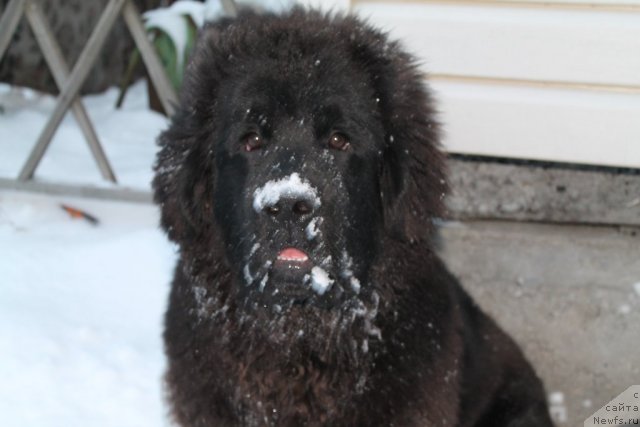 Фотография № 110763