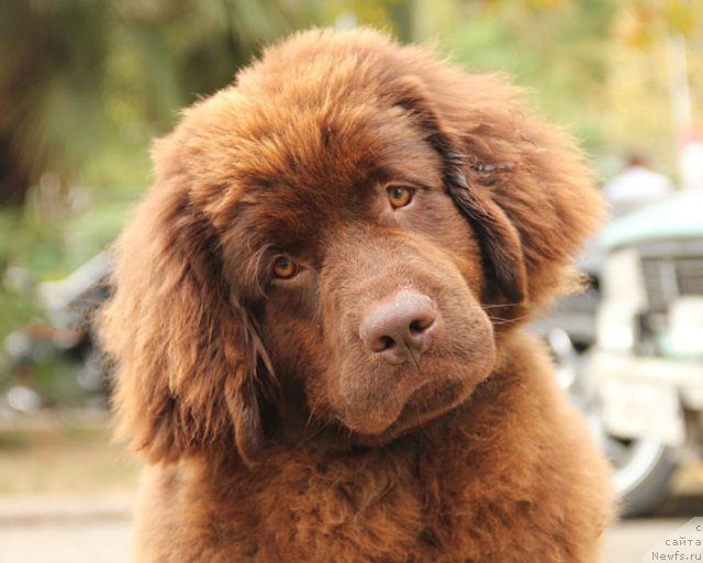 Фотография № 110768