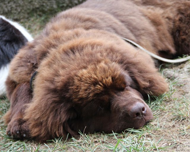 Фотография № 110771