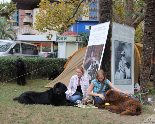 Фотография № 110772