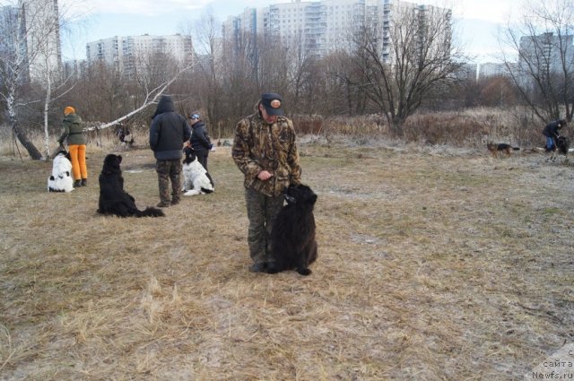 Фотография № 110801