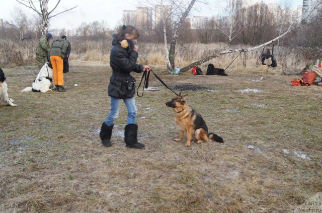 Фото: Вера Подзорова