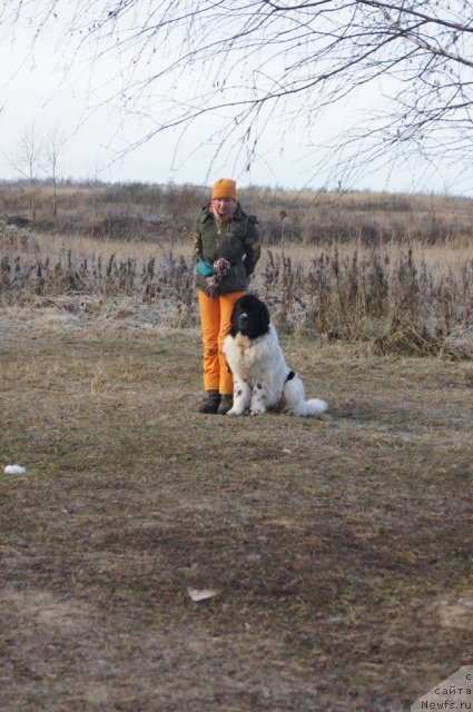 Фотография № 110818