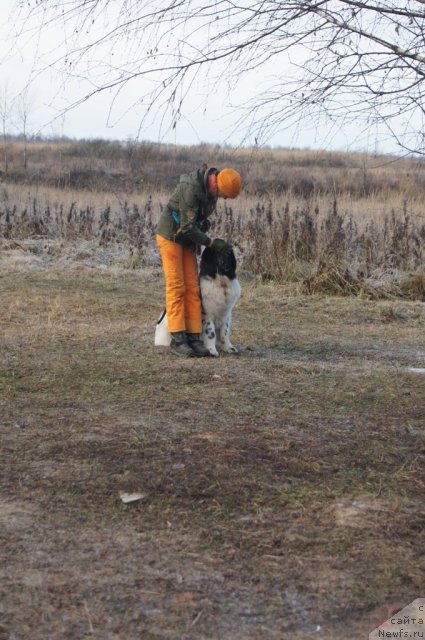 Фотография № 110821