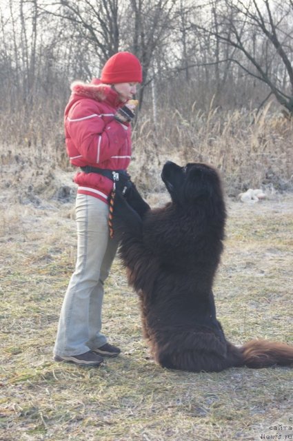 Фотография № 110824