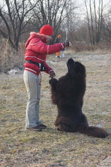 Фотография № 110825